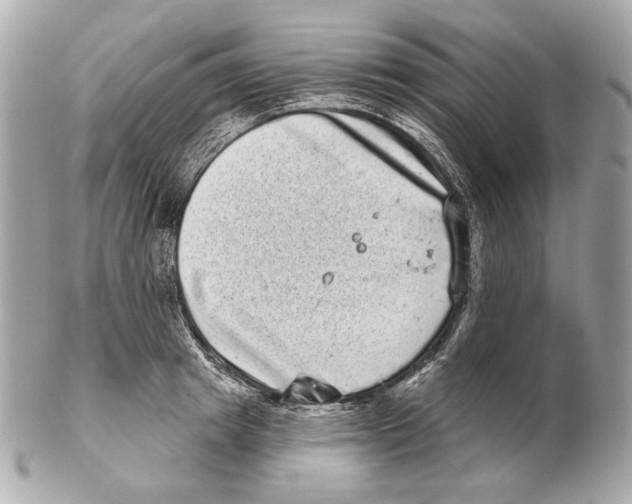 X0000102400849200808291444