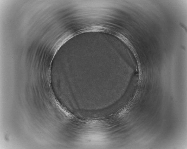 X0000102400850200808291444