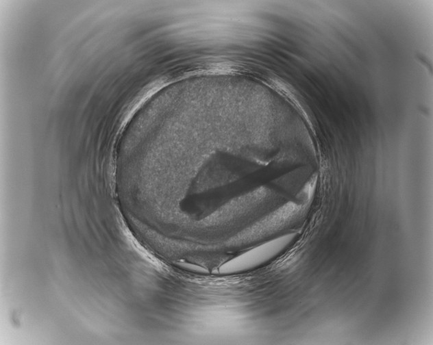 X0000102400851200808291444
