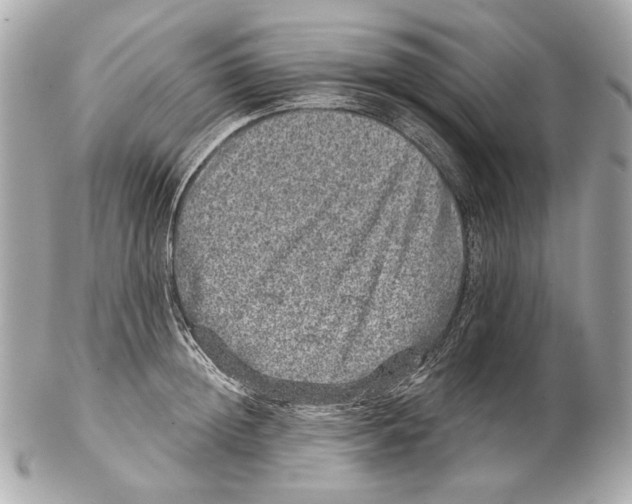 X0000102400852200808291444