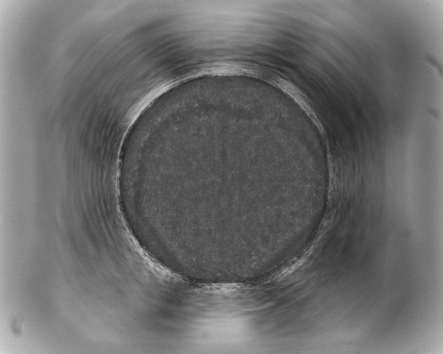X0000102400853200808291444