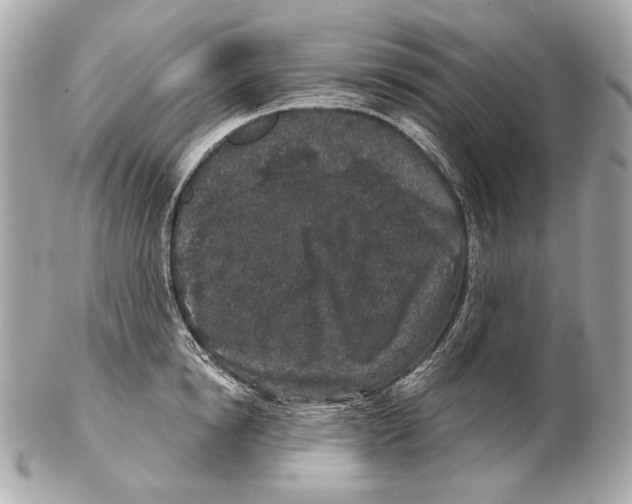 X0000102400854200808291444