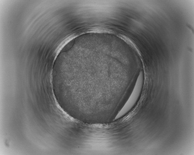 X0000102400855200808291444