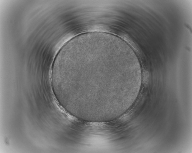 X0000102400856200808291444