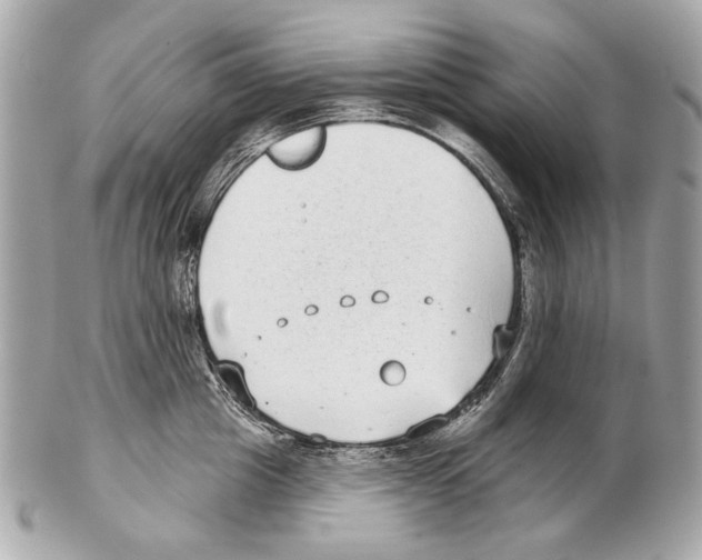 X0000102400857200808291444