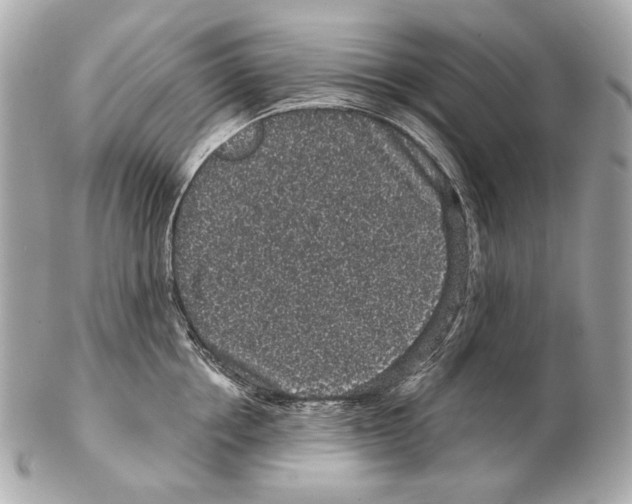 X0000102400858200808291444