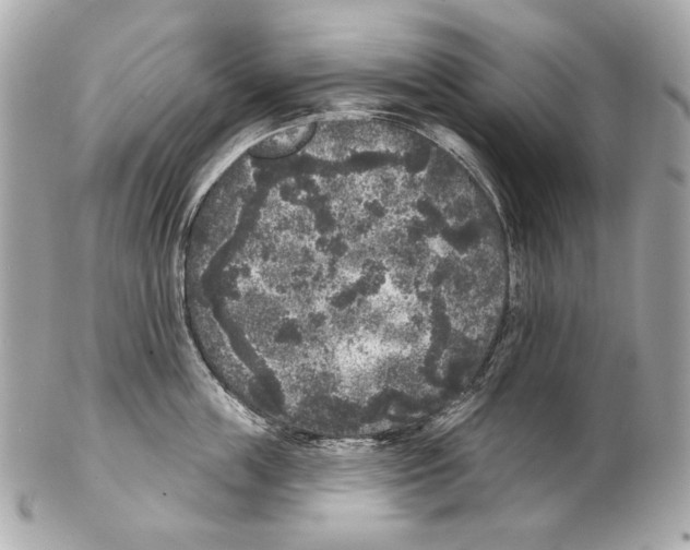 X0000102400859200808291444