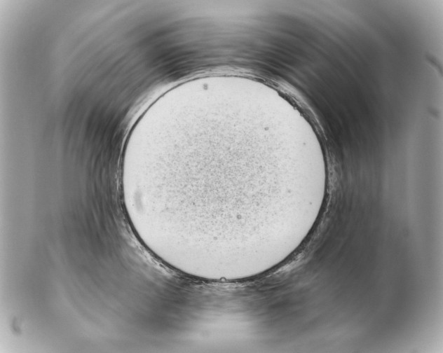 X0000102400860200808291444