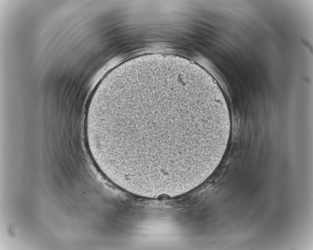 X0000102400861200808291444