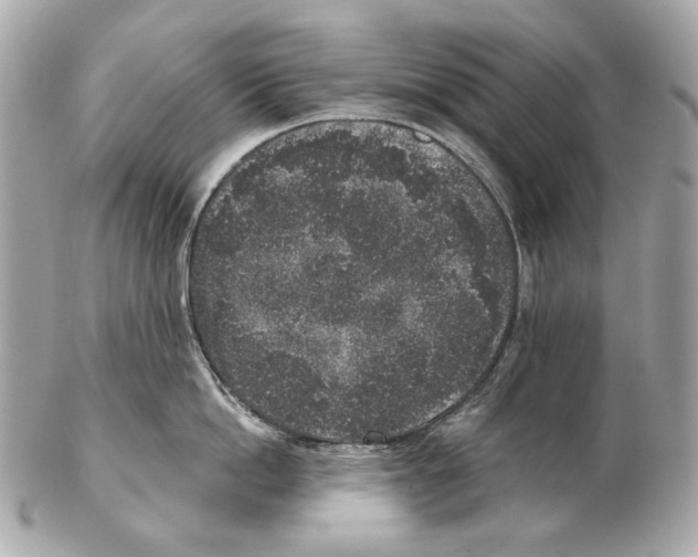 X0000102400862200808291444