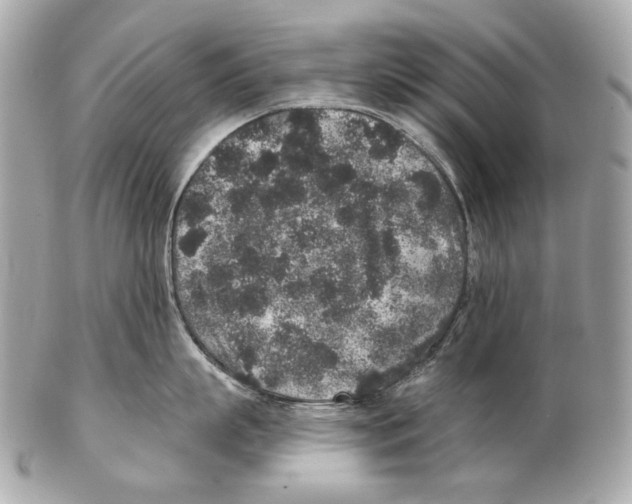 X0000102400863200808291444