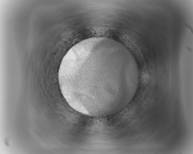 X0000102400865200808291443