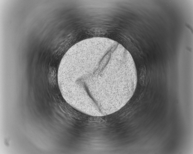 X0000102400866200808291443