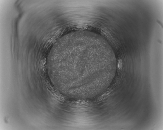 X0000102400867200808291443