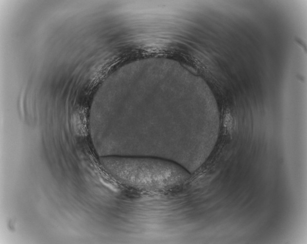 X0000102400868200808291443