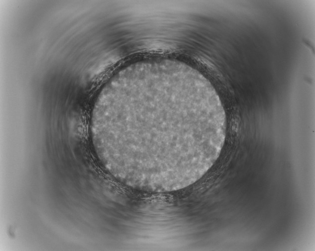 X0000102400869200808291443