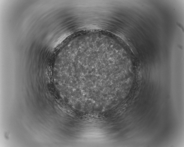 X0000102400871200808291443