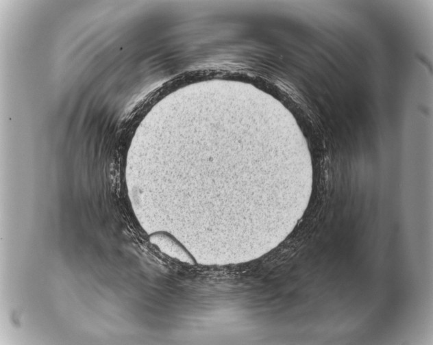 X0000102400872200808291443