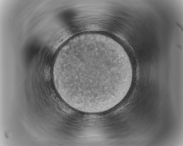 X0000102400873200808291443