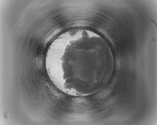 X0000102400874200808291443
