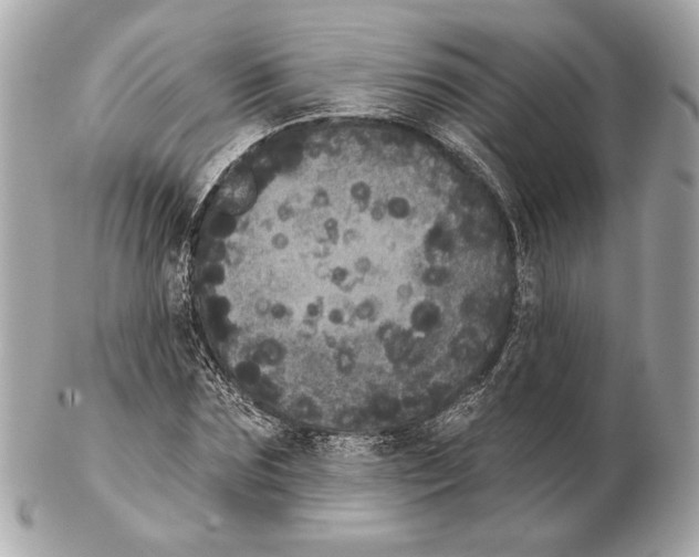 X0000102400875200808291443
