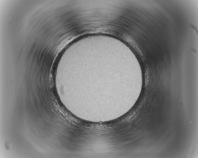 X0000102400876200808291443