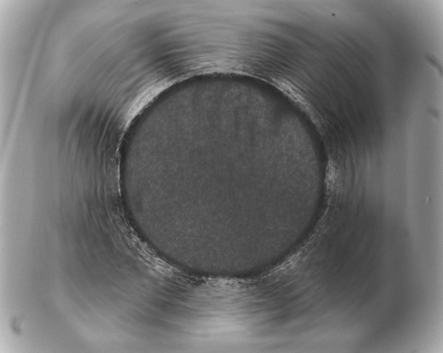 X0000102400877200808291443