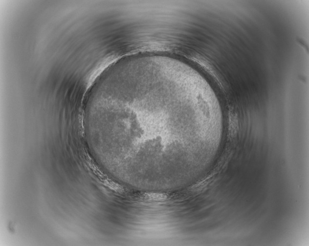 X0000102400878200808291443