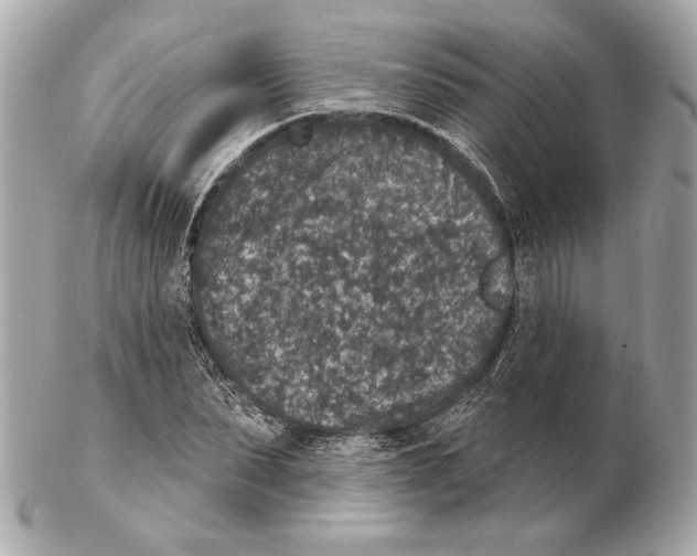 X0000102400879200808291443