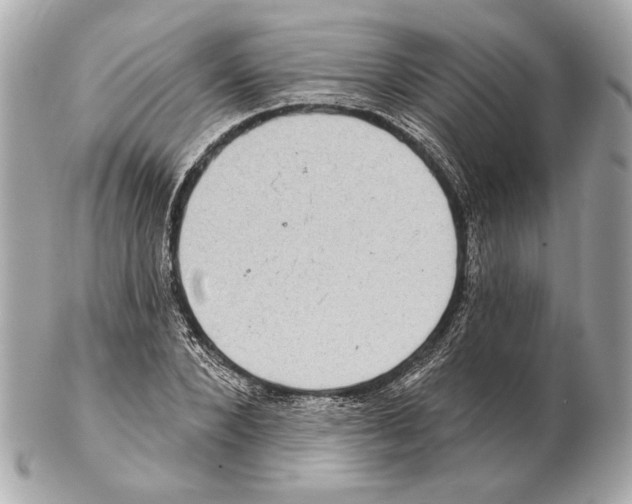 X0000102400880200808291443