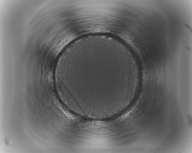 X0000102400881200808291443