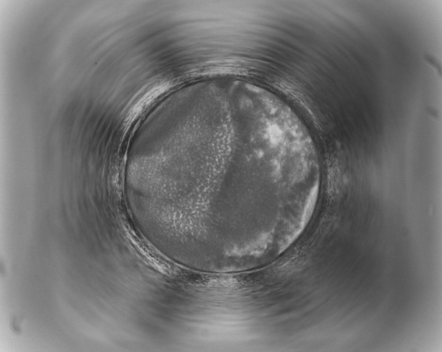X0000102400882200808291443