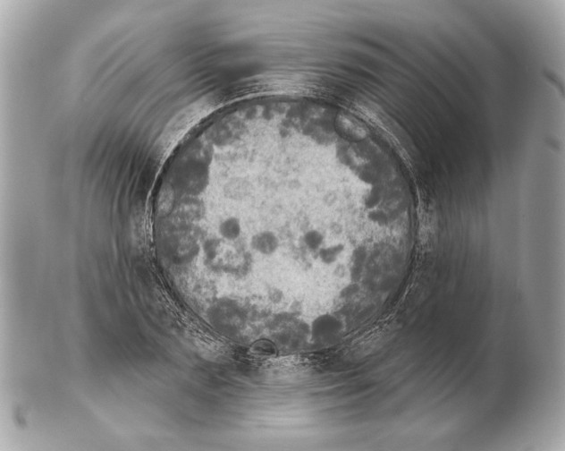 X0000102400883200808291443