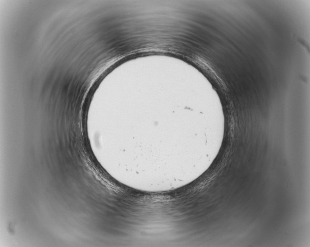 X0000102400884200808291443