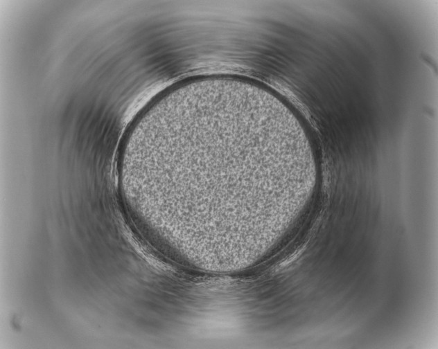 X0000102400885200808291443