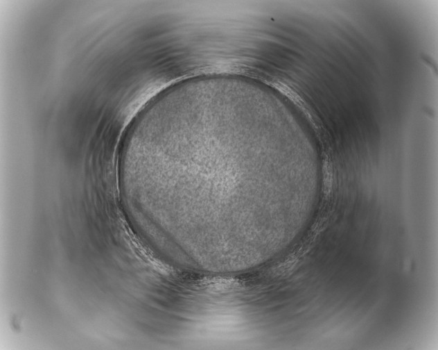 X0000102400886200808291443