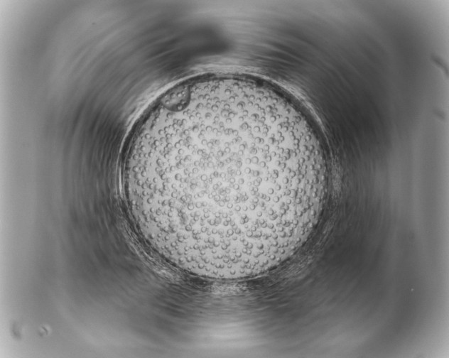 X0000102400887200808291443