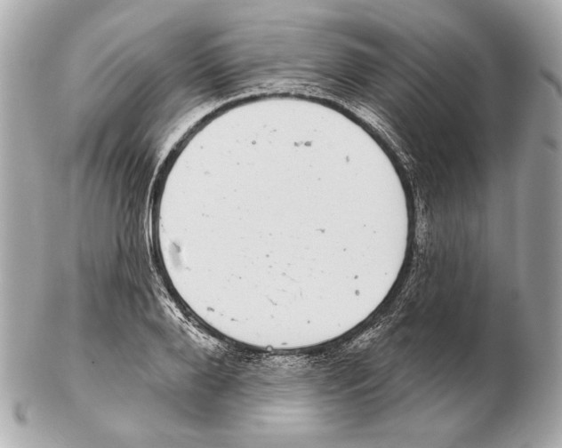 X0000102400888200808291443