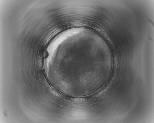 X0000102400889200808291443