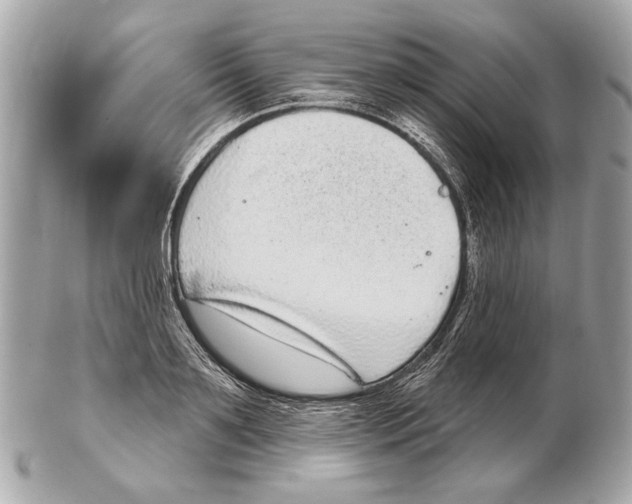 X0000102400891200808291443
