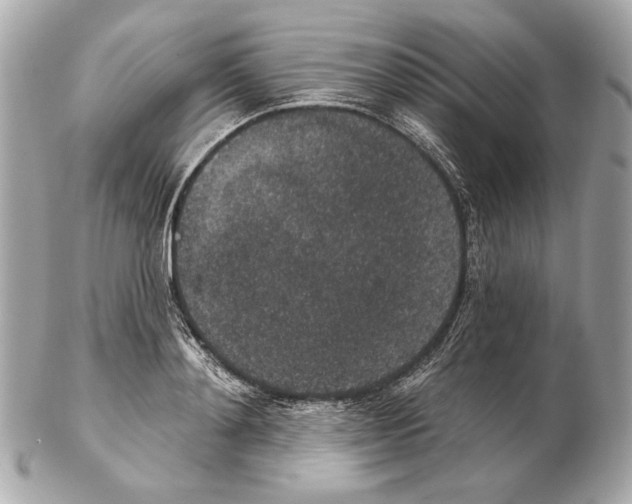 X0000102400892200808291443