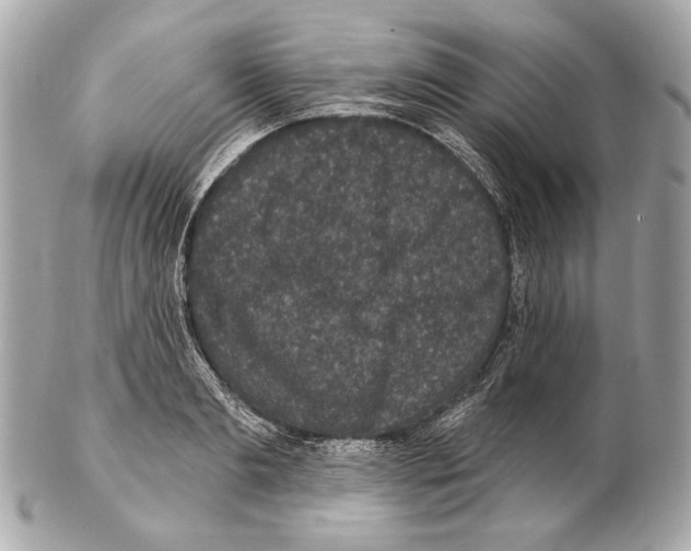 X0000102400893200808291443
