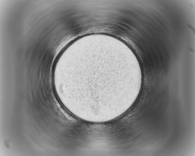 X0000102400894200808291443