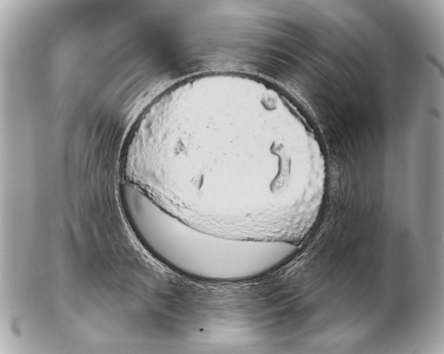 X0000102400895200808291443