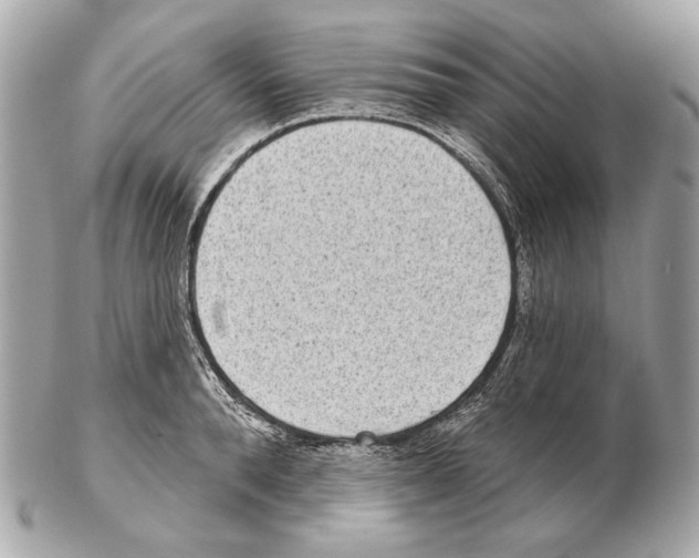 X0000102400896200808291443