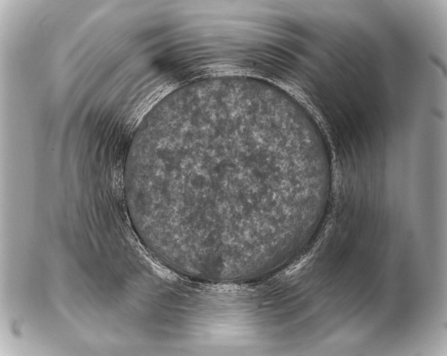 X0000102400897200808291443