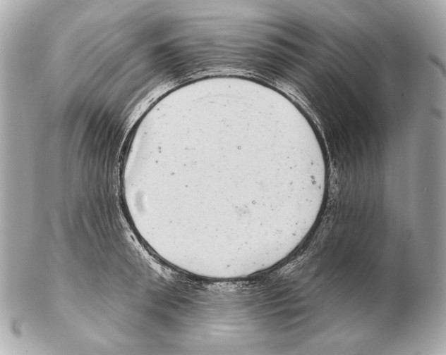 X0000102400898200808291443