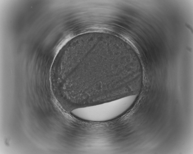 X0000102400899200808291443