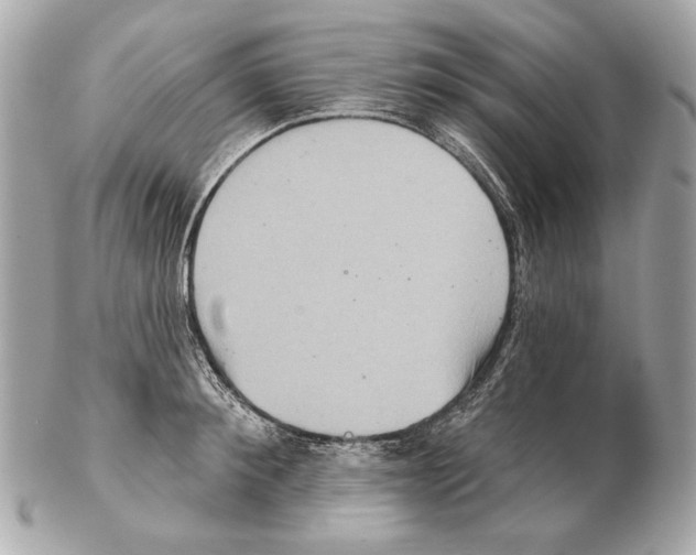 X0000102400900200808291443