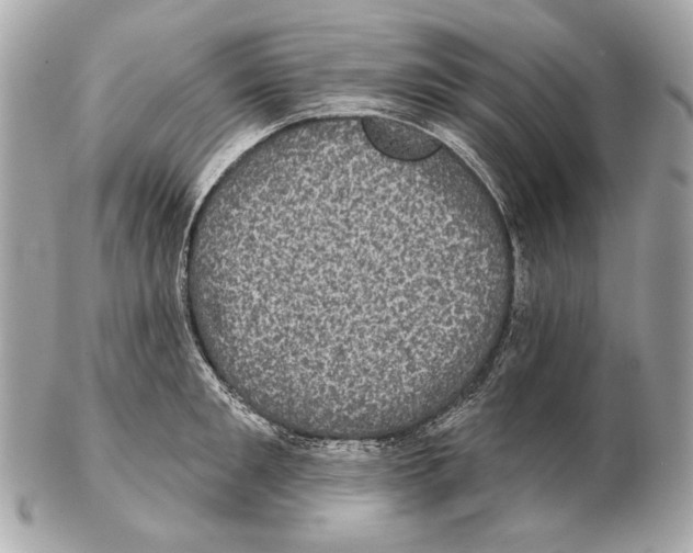 X0000102400901200808291443